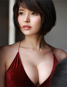 倒霉熊在线观看