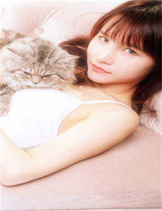 电视剧橘子